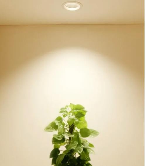 戶(hù)外投光燈哪種燈珠的亮_led室內(nèi)照明