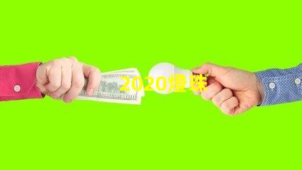 2020燈珠