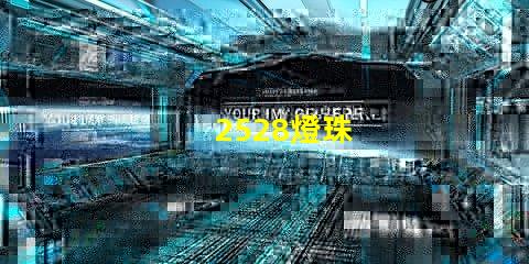 2528燈珠