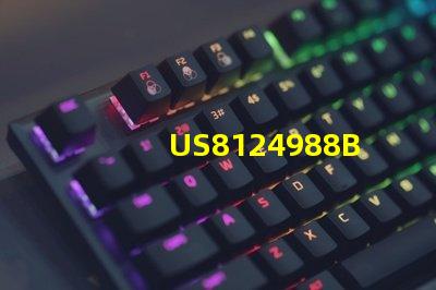 US8124988B2專利法律爭議解決方案專利維權(quán)策略全解析
