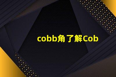 cobb角了解Cobb角的重要性及其應(yīng)用