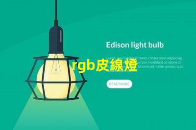 rgb皮線燈