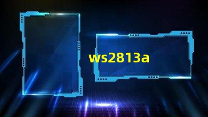 ws2813a