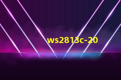 ws2813c-2020