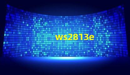 ws2813e
