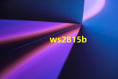 ws2815b