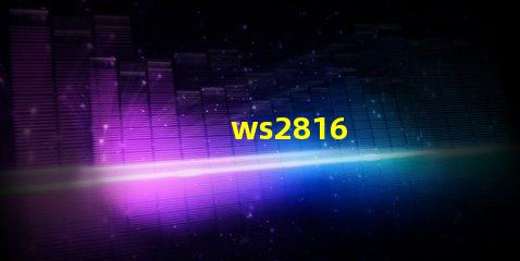 ws2816