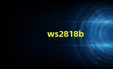 ws2818b