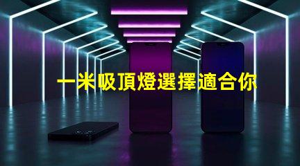 一米吸頂燈選擇適合你空間的完美照明解決方案