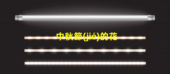 中秋節(jié)的花燈怎么做中秋節(jié)花燈DIY詳細(xì)指南