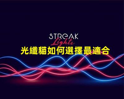 光纖貓如何選擇最適合您企業(yè)的光纖貓設備