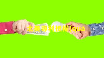 北美專利授權(quán)1212燈珠高效光源創(chuàng)新技術(shù)解析