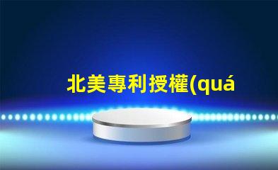 北美專利授權(quán)301北美0燈珠專利授權(quán)3010燈珠us812498us8124988b2技術(shù)8b2專利優(yōu)勢解析詳解,這種燈珠為何成為市場熱議焦點
