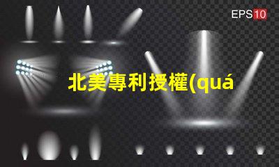 北美專利授權(quán)4018燈珠us8124988b2核心技術(shù)揭秘