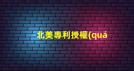 北美專利授權(quán)6025燈珠高效節(jié)能光源技術(shù)解密