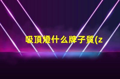 吸頂燈什么牌子質(zhì)量好又實(shí)惠優(yōu)質(zhì)與經(jīng)濟(jì)性的完美平衡