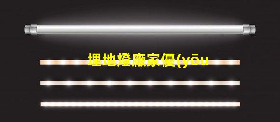 埋地燈廠家優(yōu)質(zhì)埋地燈的選擇與對比