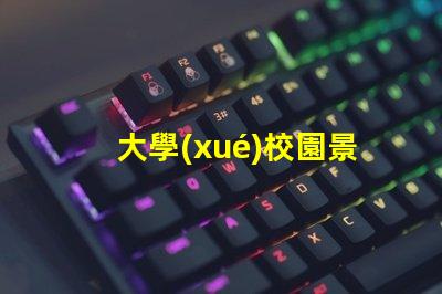 大學(xué)校園景觀提升校園美感的創(chuàng)新設(shè)計(jì)方案