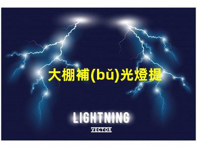 大棚補(bǔ)光燈提升作物生長的關(guān)鍵設(shè)備