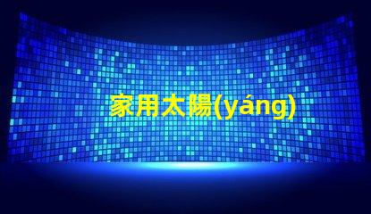 家用太陽(yáng)能照明燈節(jié)能環(huán)保照明解決方案的最佳選擇
