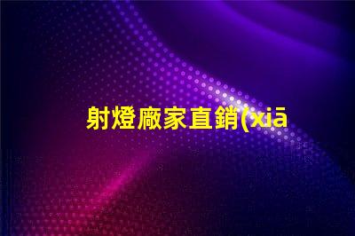 射燈廠家直銷(xiāo)高品質(zhì)照明解決方案的最佳選擇嗎