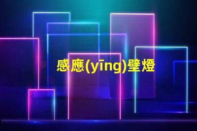 感應(yīng)壁燈智能感應(yīng)技術(shù)提升安全性嗎
