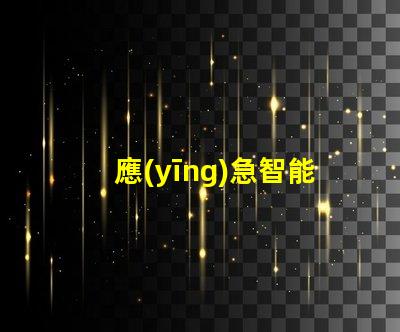 應(yīng)急智能疏散提升安全效率的智能解決方案
