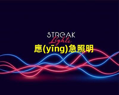 應(yīng)急照明和疏散指示提升安全性的重要設(shè)施解析