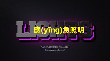 應(yīng)急照明和疏散指示系統(tǒng)確保安全撤離的關(guān)鍵技術(shù)解析