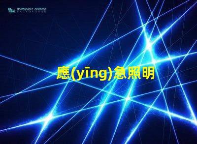 應(yīng)急照明燈具選擇如何挑選適合您需求的高效解決方案