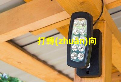 打轉(zhuǎn)向燈的口訣掌握安全駕駛的必備技巧