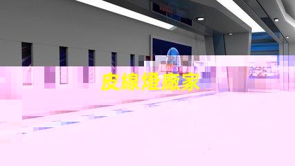 皮線燈廠家