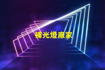 補光燈廠家