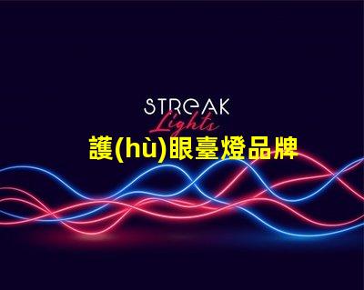 護(hù)眼臺燈品牌哪個好專業(yè)護(hù)眼燈具選擇指南