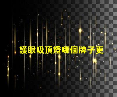 護眼吸頂燈哪個牌子更好專業(yè)品牌的選擇指南