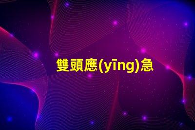 雙頭應(yīng)急燈提升安全性的多功能照明解決方案