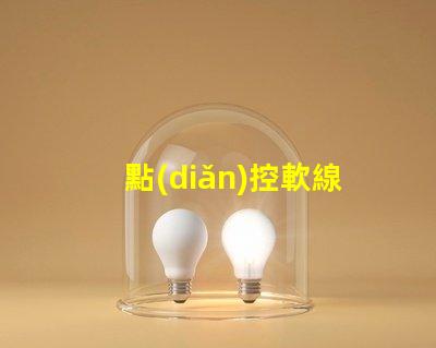 點(diǎn)控軟線燈