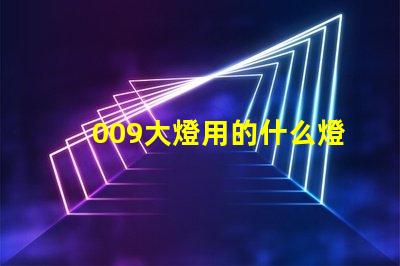 009大燈用的什么燈珠