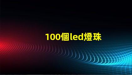 100個led燈珠