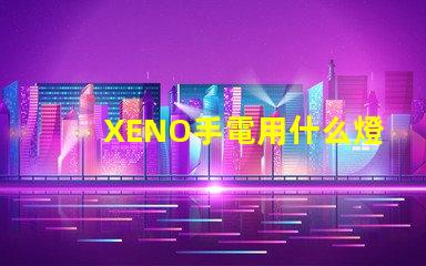 XENO手電用什么燈珠