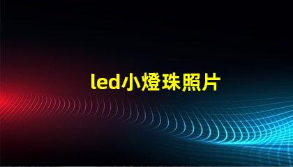 led小燈珠照片