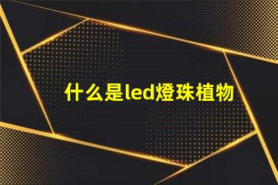 什么是led燈珠植物燈生長(zhǎng)燈珠