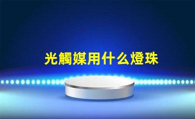 光觸媒用什么燈珠