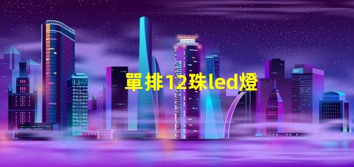 單排12珠led燈