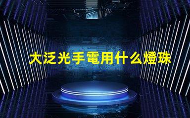 大泛光手電用什么燈珠好