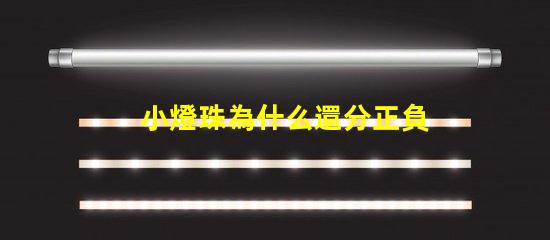 小燈珠為什么還分正負極