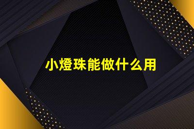 小燈珠能做什么用