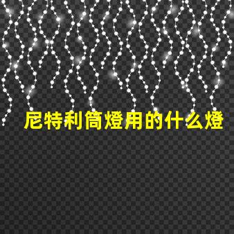 尼特利筒燈用的什么燈珠