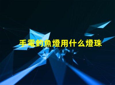 手電釣魚燈用什么燈珠