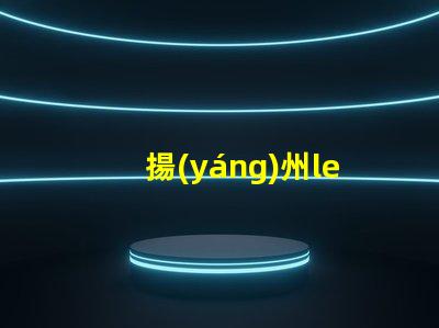 揚(yáng)州led燈珠工廠